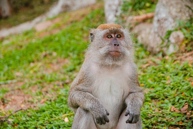 Private Kanching Waterfalls with Batu Caves & Ramayana Caves Tour - The comfort and timing factor: why a private vehicle matters on a short trip