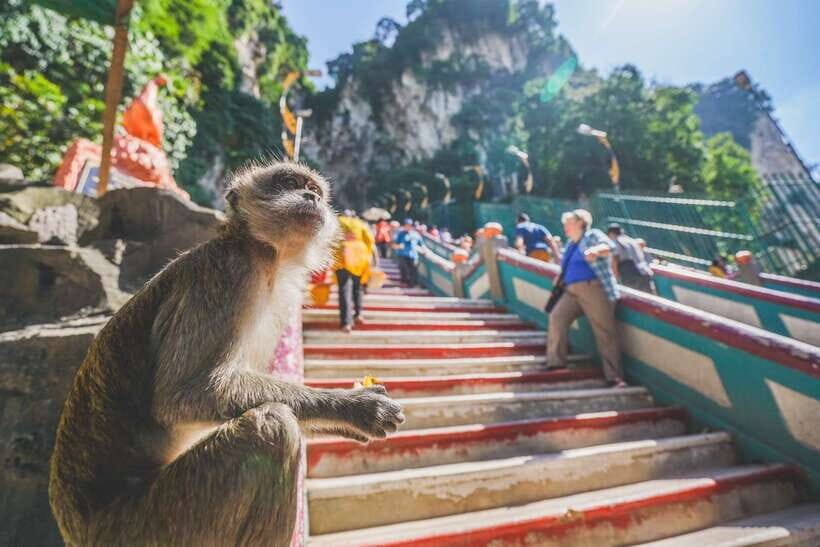 Private KL City Tour with Petronas Twin Towers & Batu Caves - Petronas Twin Towers Observation Deck and Skybridge: The Skyline Moment