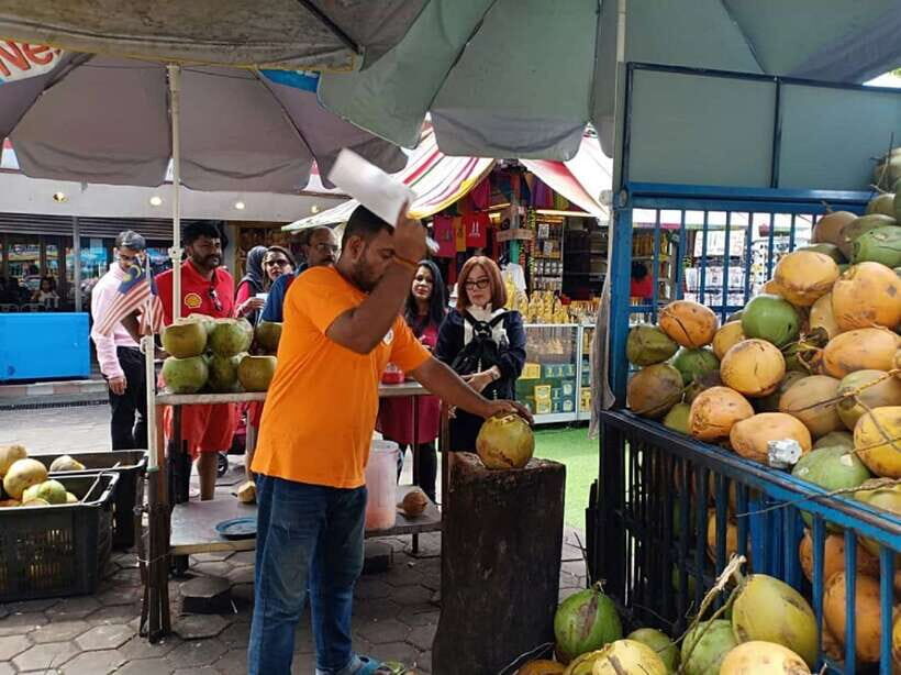 Private KL City Tour with Petronas Twin Towers & Batu Caves - Transport, Tickets, and Timing: The Real Value Behind $186