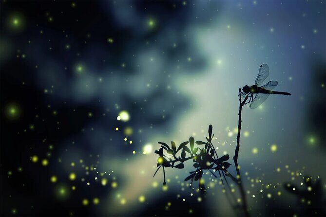 Private Kuala Lumpur Fairy Firefly And Monkey Hill Tour - Kuala Selangor Firefly Park by Paddle Boat