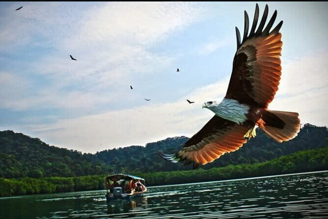 Private Langkawi Departure Transfer to Airport - Who this private LGK transfer suits best