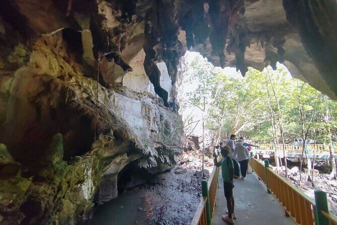Private Langkawi Mangrove Forest Boat Tour Tg Rhu with Lunch - Andaman Sea Island Scenery: Gorilla Mountain, Shoes Island, and More