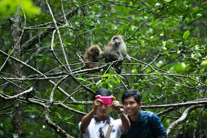 Private Mangrove Tour 3 Hour (max 8 People) - Key Highlights Worth Planning For