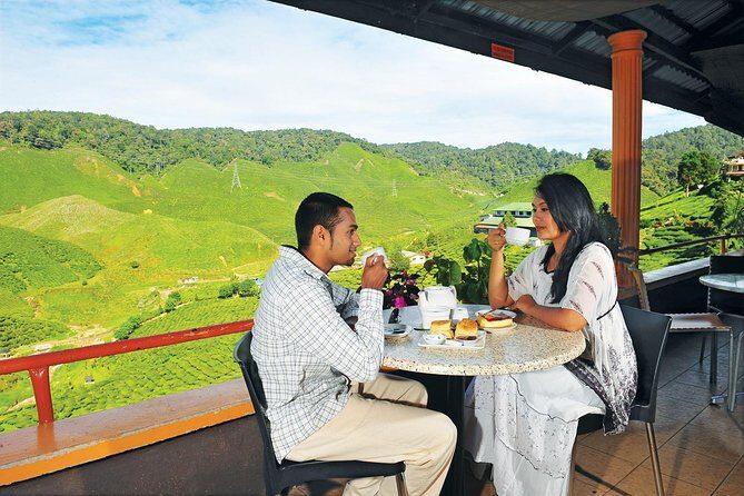 Private Nature Trip to Cameron Highlands from Kuala Lumpur - Strawberry farm time: the fun part (and the practical part)