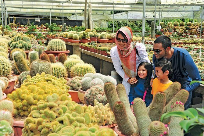 Private Nature Trip to Cameron Highlands from Kuala Lumpur - Time Tunnel Museum: a quick step into the past