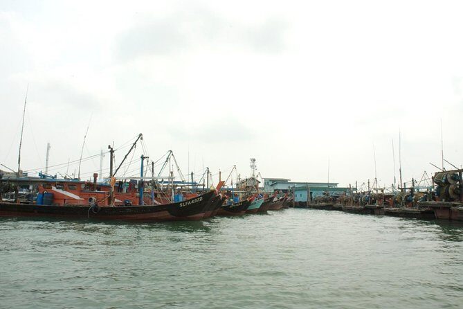 Private Tour: Crab Island Sightseeing Boat Ride and Seafood Lunch - Choosing lunch on Crab Island: fresh seafood with real variety