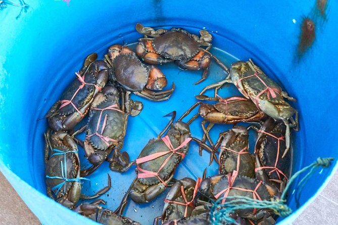 Private Tour: Crab Island Sightseeing Boat Ride and Seafood Lunch - Price and Logistics: what $125 per person is really buying
