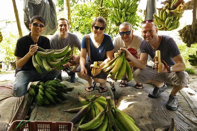 Private Tour: Ipoh Secrets Taiping Heritage & Orang Utan Island - Orang Utan Island: steel-fence tunnel views and early boat timing