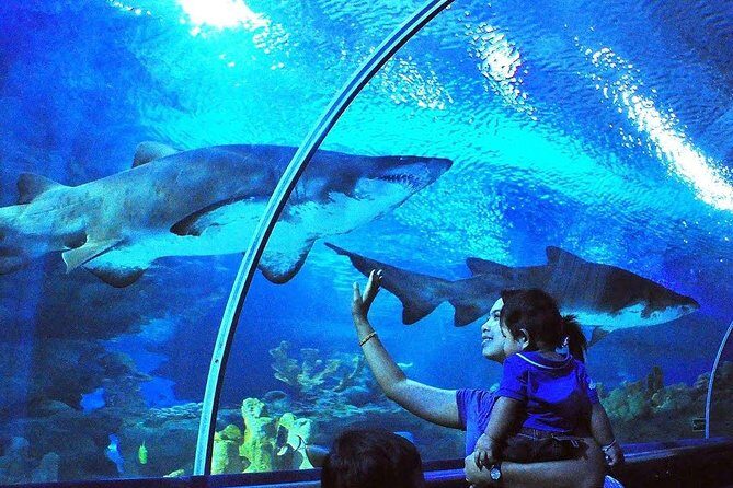 Private Tour to The Best of Animal Attractions in Kuala Lumpur - A private animal day across four KL highlights