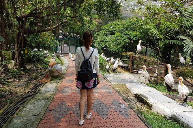 Private Tour to The Best of Animal Attractions in Kuala Lumpur - Lunch during the tour: Malaysian set meal, minimal fuss