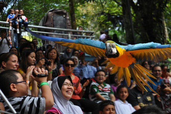 Private Tour to The Best of Animal Attractions in Kuala Lumpur - What you pay ($215.25) and where the value really comes from