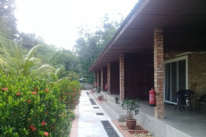Private Transfer to Taman Negara from Kuala Lumpur - From Kuala Lumpur to Kuala Tahan Jetty: why this transfer matters