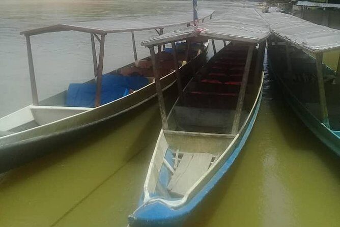 Private Transfer to Taman Negara from Kuala Lumpur - Pickup rules that actually prevent delays