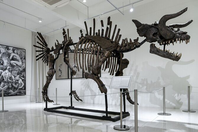 Quirky Art Museum called Ur-Mu in Bukit Bintang, KL - Should you book UR-MU in Bukit Bintang?