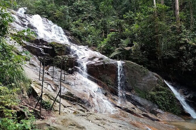 Rainforest-Cascading Waterfall & Batu Cave (Private Tour) - Hotel Pickup and the 8:30 Start That Sets Your Day Up Right