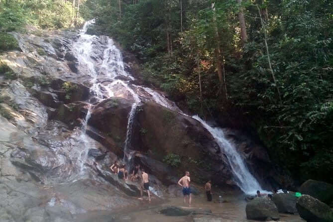 Rainforest-Cascading Waterfall & Batu Cave (Private Tour) - Butterfly Park Time: A Colorful Break From Climbing