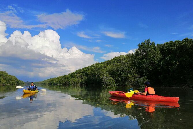 River Exploration and Mangrove Nature Tour by kayaking - Key highlights worth planning around