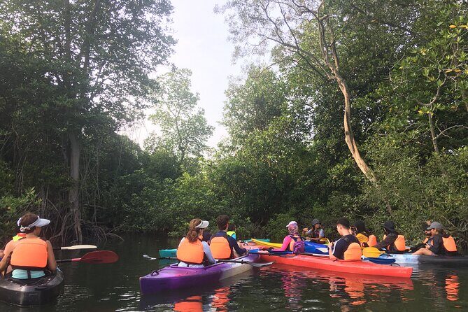 River Exploration and Mangrove Nature Tour by kayaking - Sepang River mangroves: what 4 hours feels like on the water