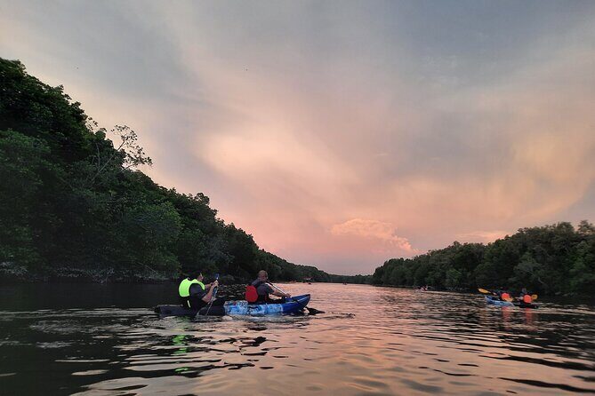 River Exploration and Mangrove Nature Tour by kayaking - What’s included: gear, insurance, snacks, and the interpreter
