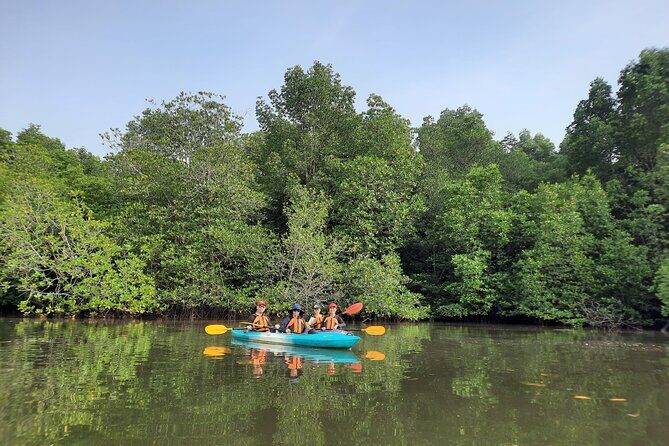 River Exploration and Mangrove Nature Tour by kayaking - Finding the jetty and launching from the floating house