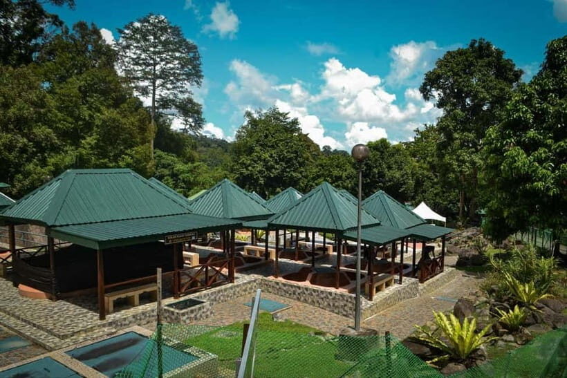Sabah: Kinabalu Park, Poring Hot Springs & Desa Farm Tour - A full Sabah highlights day: Poring, Desa Dairy Farm, and Kinabalu Park