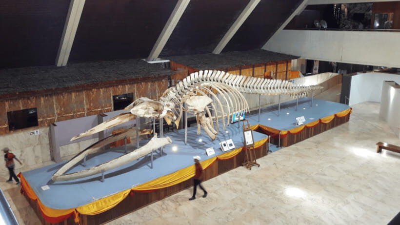 Sabah : Kota Kinabalu City Tour - Sabah State Museum: when you want context, and when you might not