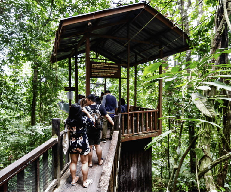 Sabah: Kota Kinabalu Park and Hot Spring Day Trip - Desa Cattle Dairy Farm tasting: a surprisingly good cultural stop