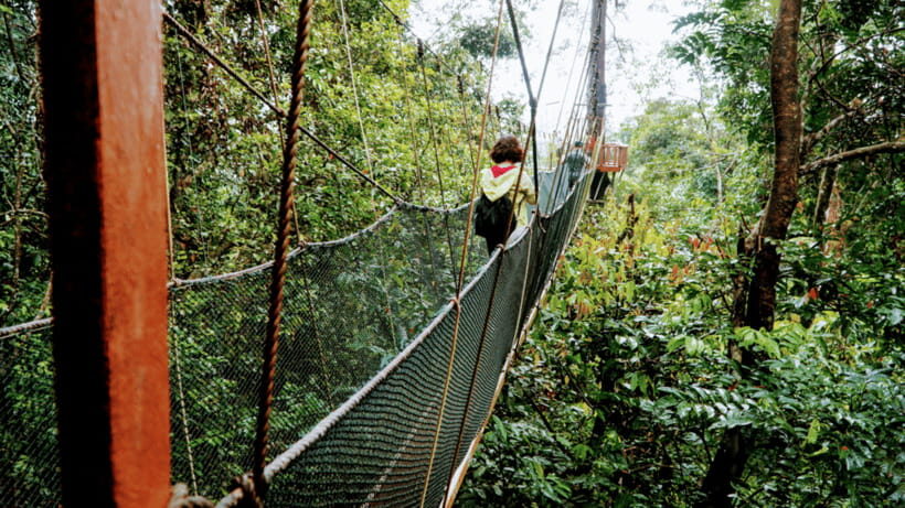 Sabah: Kundasang Nature Day Tour - Timing, crowds, and the sweater rule at 1500m