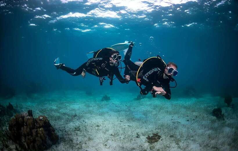 Sabah : Mamutik & Sapi Island Excursion Ticket - Mamutik & Sapi in the Tunku Abdul Rahman Marine Park: the big idea