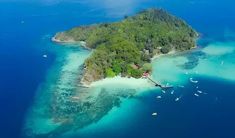 Sabah : Mamutik & Sapi Island Excursion Ticket - Sapi Island afternoon: more action, more marine life, more decisions