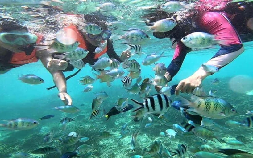 Sabah: Mantanani Island Day Tour with Lunch - Snorkeling Time: Gear, Safety, and What to Look For