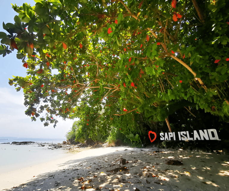 Sabah: Manukan and Sapi Islands Excursion Ticket - Snorkeling Reality in Tunku Abdul Rahman Marine Park