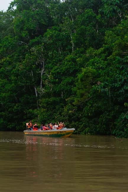 Sandakan: Kinabatangan River Wildlife Cruise with Lunch - Lunch at the jungle resort stop: where you fuel up