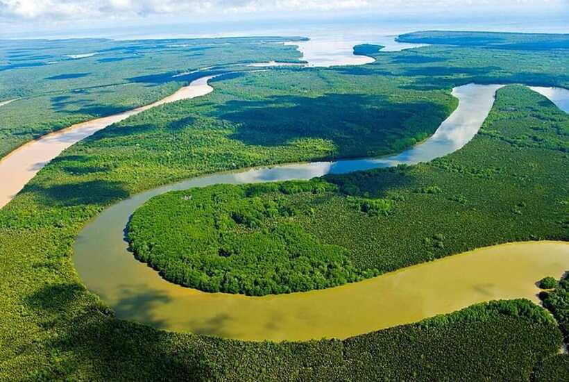 Sandakan: Kinabatangan River Wildlife Cruise with Lunch - Bilit: the guided primate stop that anchors the day