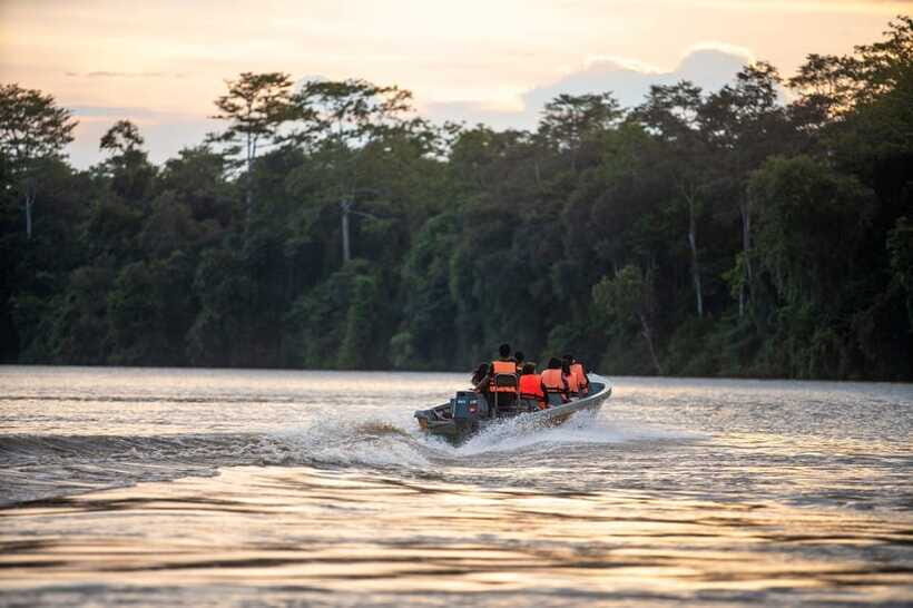 Sandakan: Kinabatangan River Wildlife Cruise with Lunch - Meals included: lunch, afternoon tea, and what that means for value