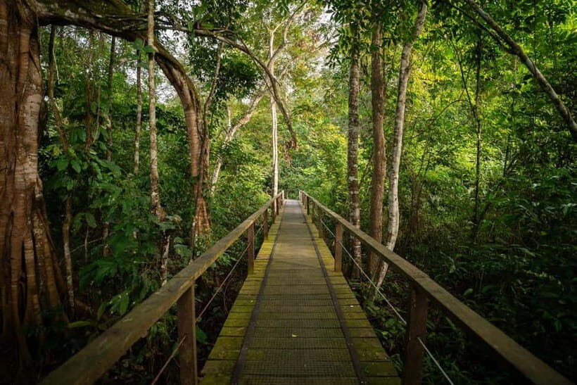 Sandakan: Kinabatangan River Wildlife Cruise with Lunch - What to bring (and what to avoid) for comfort and sightings
