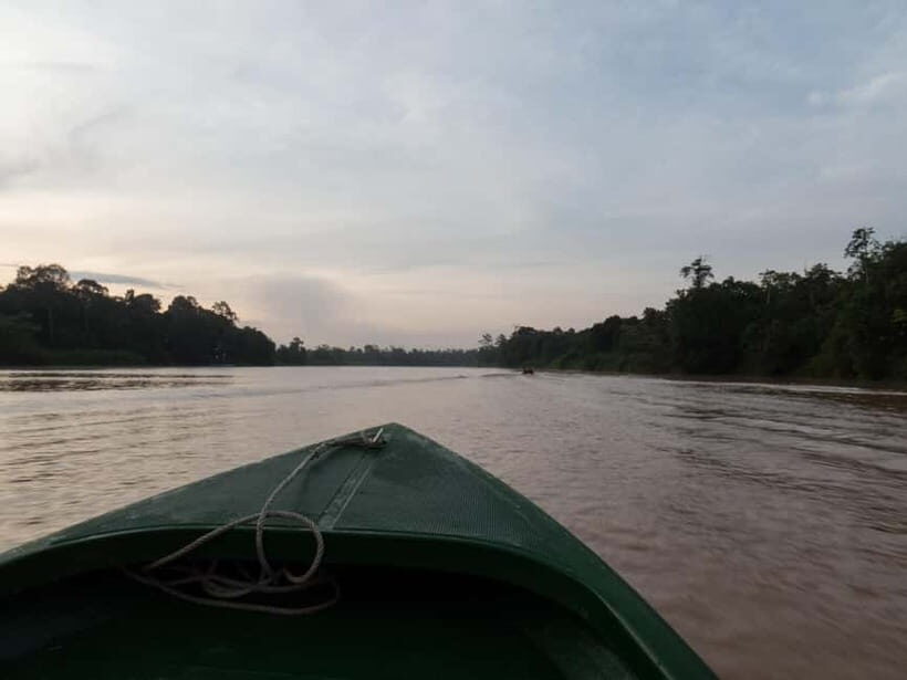 Sandakan: Sukau Rainforest Wildlife Journey & Dawn Cruises - Why Kinabatangan feels different at dusk and dawn