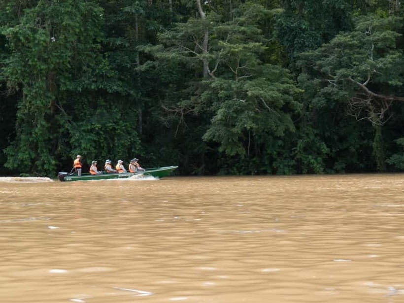 Sandakan: Sukau Rainforest Wildlife Journey & Dawn Cruises - Pickup from Sandakan or Sepilok: where your day gets won or lost