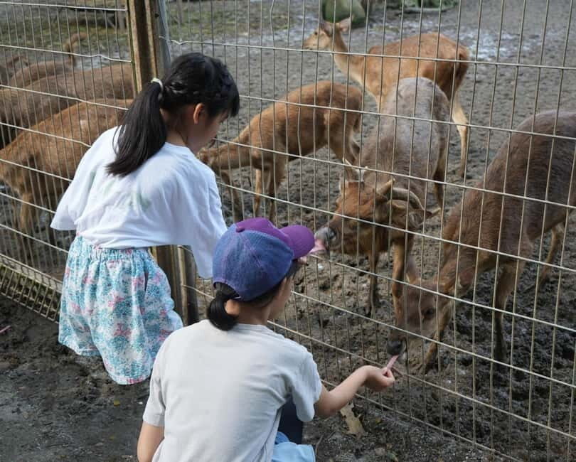 Selangor: Zoo Negara E-Ticket - Enter Zoo Negara Fast: Redeem and Go