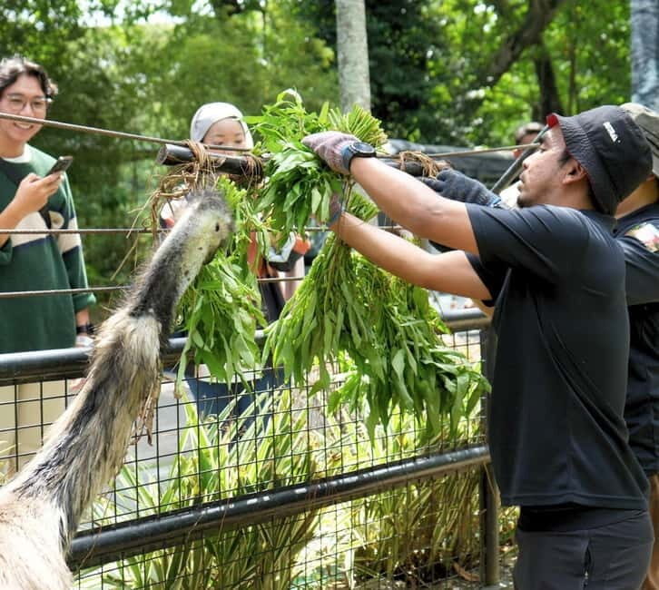 Selangor: Zoo Negara E-Ticket - The Zoo Experience Beyond Pandas: Animals From Many Places
