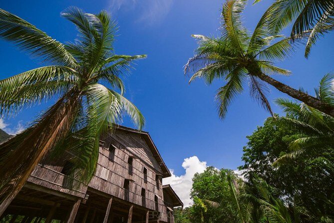 Semenggoh Orangutan Center & Sarawak Cultural Village - Should you book Semenggoh and Sarawak Cultural Village in one day?