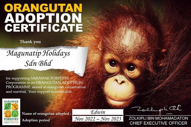 Semenggoh Orangutan Centre from Kuching - The 3-hour half-day rhythm from Kuching (pickup to drop-off)