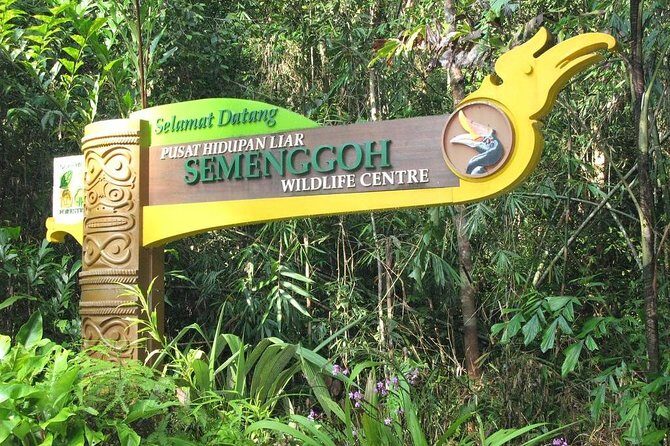 Semenggoh Wildlife Centre: Orangutan Discovery from Kuching - Comfort notes: what to bring and how to handle the day