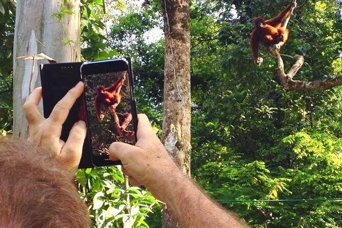 Semenggoh Wildlife Centre Tour: Discover Sarawak’s Orangutans - Price and value: $70.10 per person plus two possible add-ons