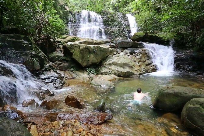 Semenggok Wildlife Centre - Should you book Semenggoh Wildlife Centre from Kuching?