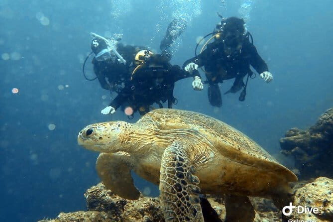 Semporna Hike Bohey 3 Island Snorkel Dive Tour and Lunch - Price and value: what $113 covers (and what can cost extra)