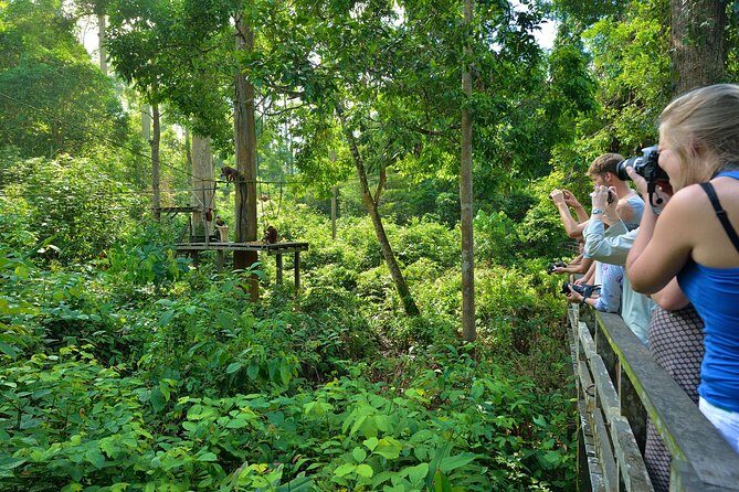 Sepilok Orang Utan & Bornean Sun Bear Centre with Sandakan City Tour with Lunch - Round-trip transfers and a sensible day rhythm