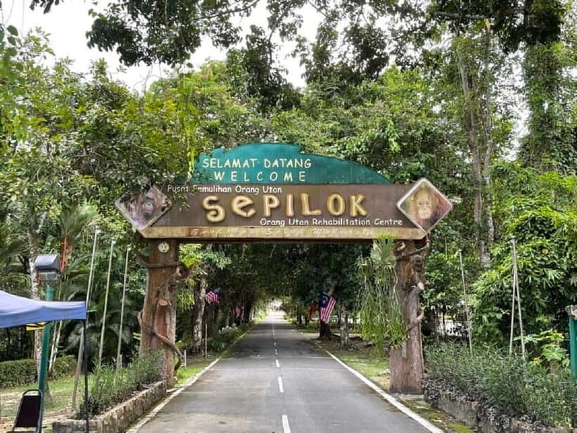 Sepilok OrangUtan, Sun Bear & Labuk Bay Full Day Trip - Wildlife stops that actually fit together from Sandakan
