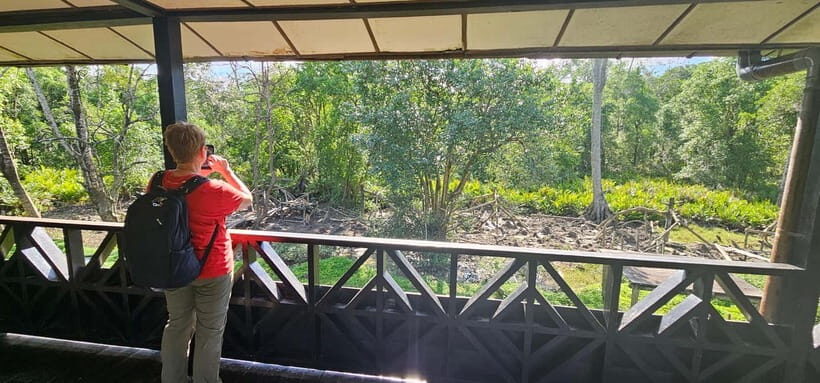 Sepilok OrangUtan, Sun Bear & Labuk Bay Full Day Trip - Practical tips: how to be comfortable and see more