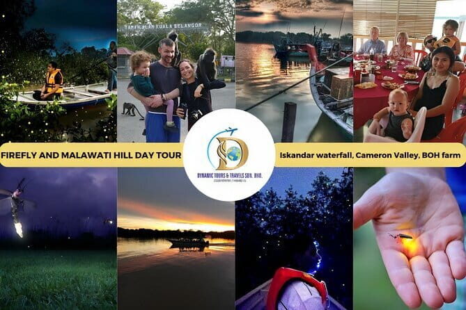 Shared Fireflies Tour with Blue Tears and Seafood Dinner - What to pack (and how to avoid itchy mangrove souvenirs)